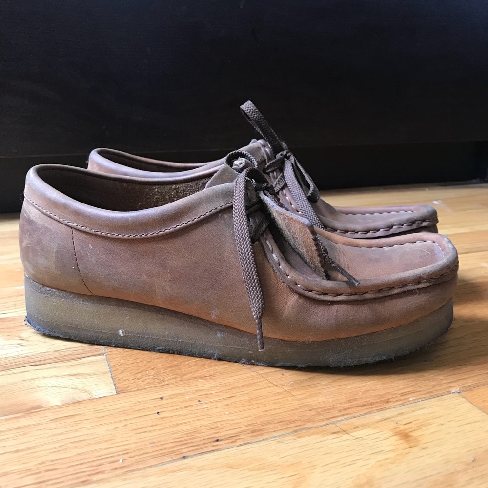 Clark’s Wallabies